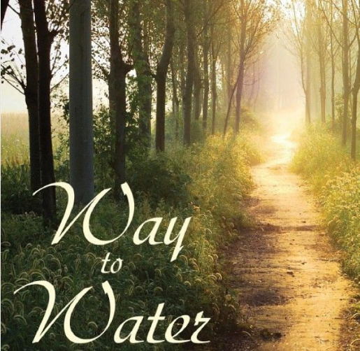 Cover of Way to Water